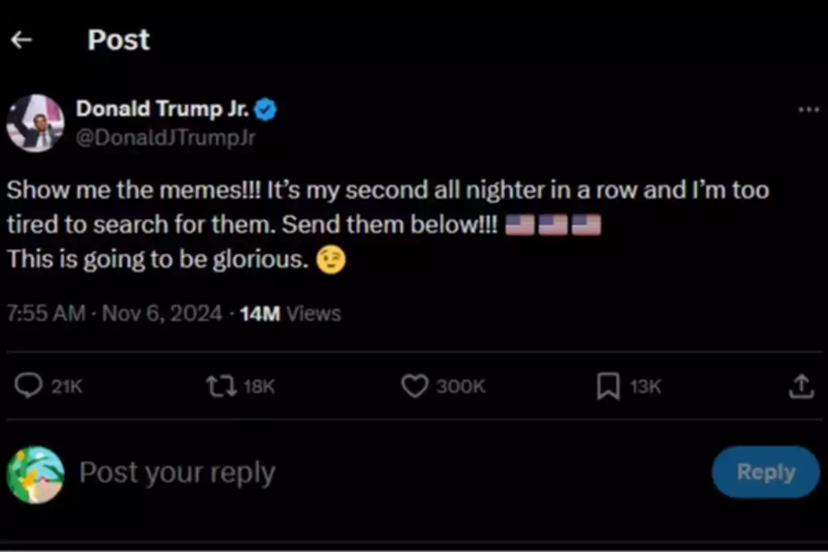 Captura de pantalla de un tuit de Donald Trump Jr. pidiendo memes porque está cansado tras dos noches sin dormir y menciona que será glorioso, acompañado de emojis de banderas de Estados Unidos y una cara guiñando un ojo.