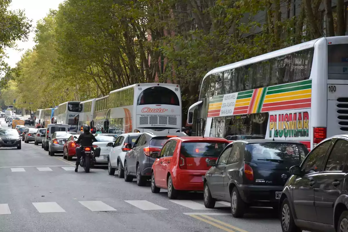 Una calle con tráfico denso donde se observan varios autos, autobuses y una motocicleta, rodeados de árboles.