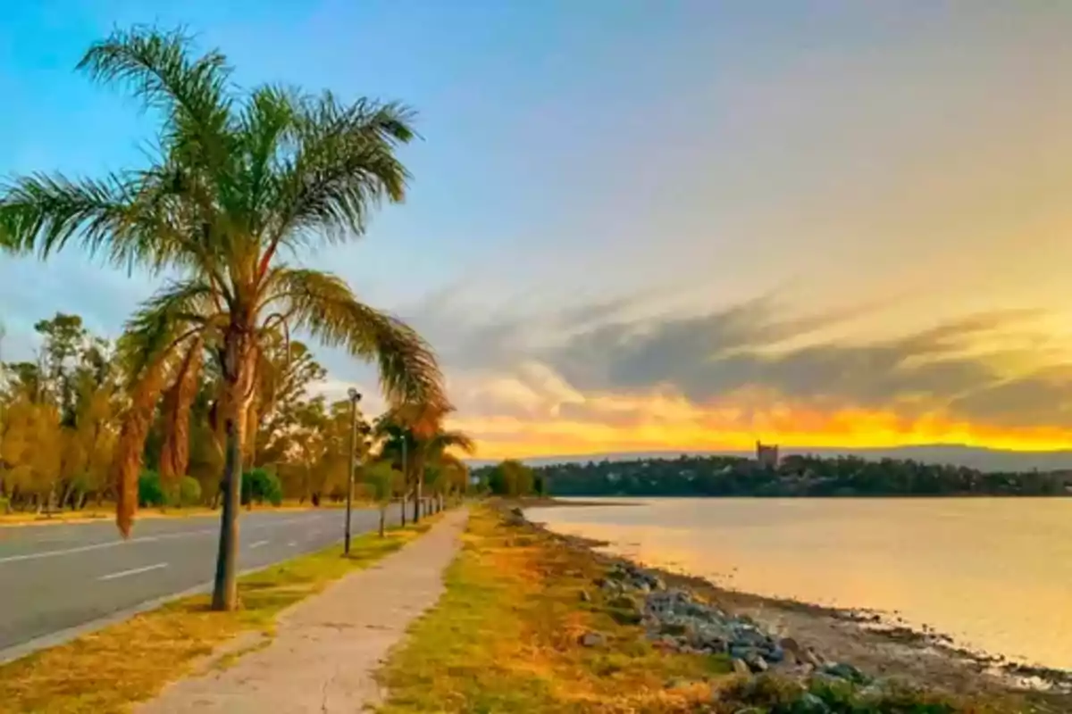 Camino junto a un lago al atardecer con palmeras y un cielo colorido.