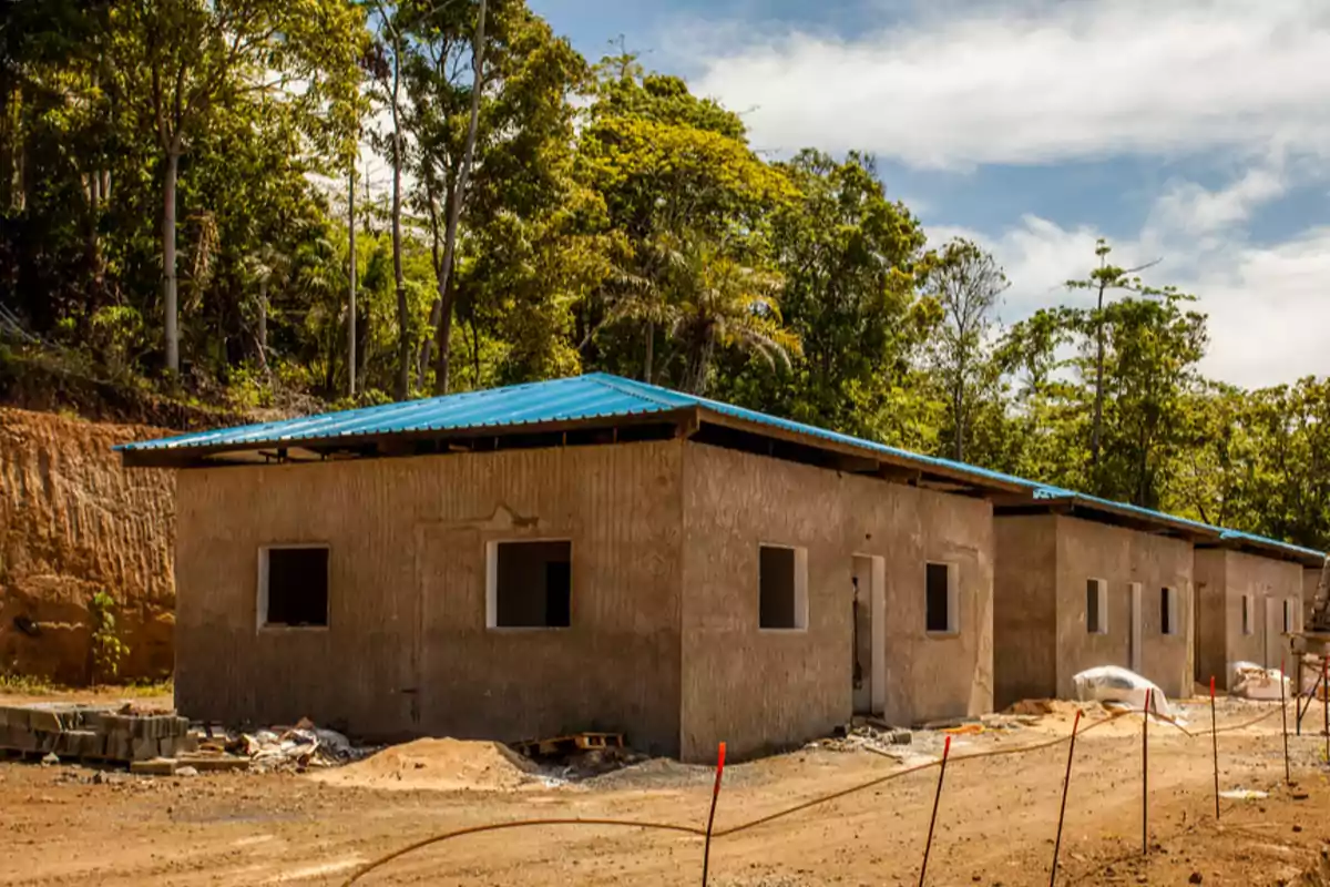 Houses under construction with blue roofs surrounded by trees and vegetation Houses under construction with blue roofs surrounded by trees and vegetation
