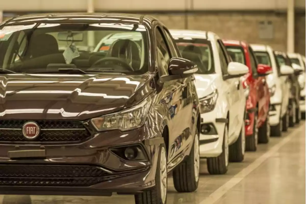 Fila de automóviles Fiat de diferentes colores estacionados en un interior.