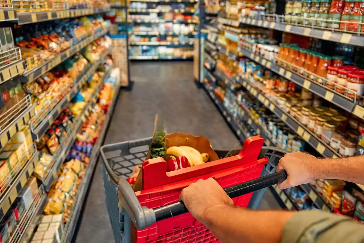 Persona empujando un carrito de compras en un pasillo de supermercado lleno de productos.