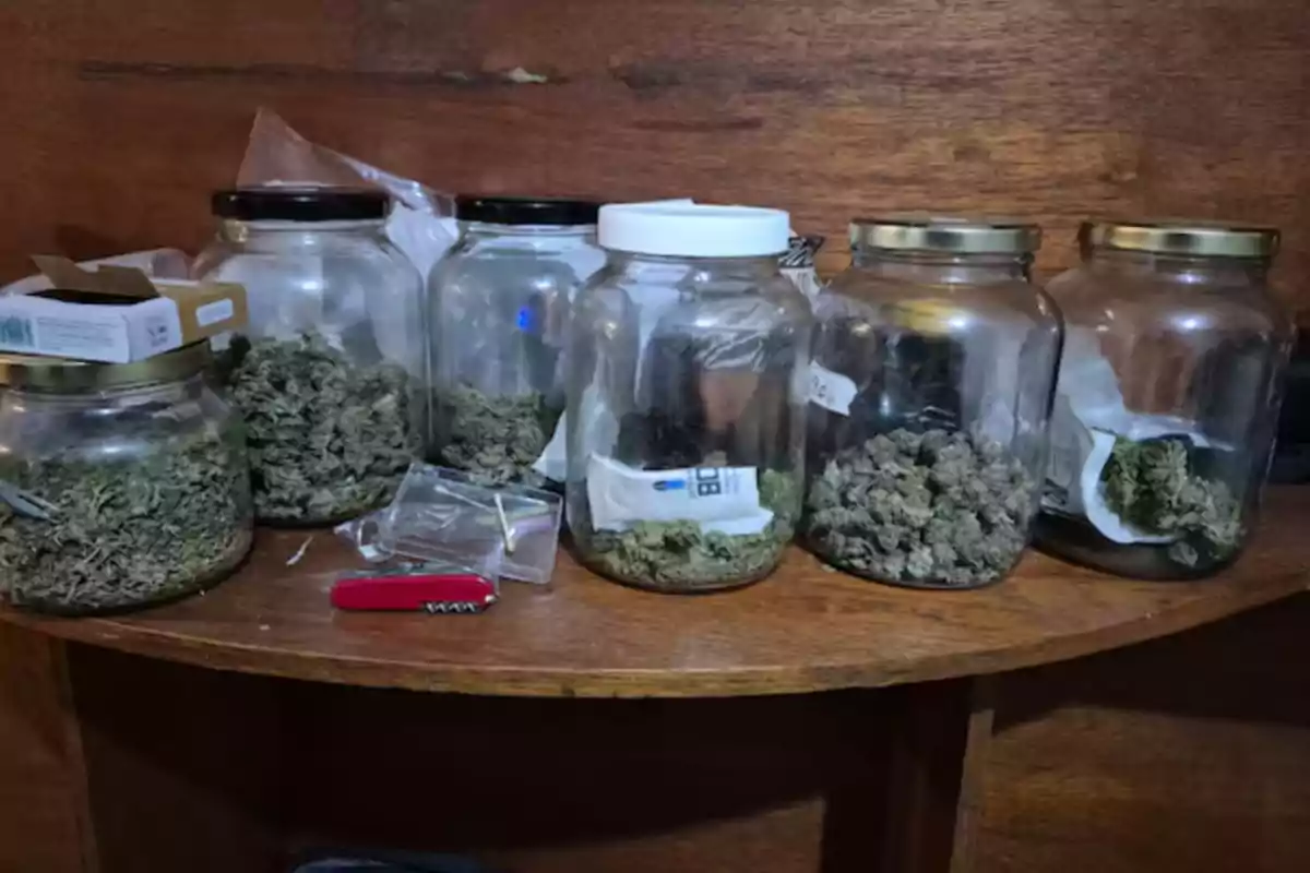 Varios frascos de vidrio con tapas de diferentes colores contienen marihuana sobre una mesa de madera junto a una navaja roja y algunos objetos pequeños Varios frascos de vidrio con tapas de diferentes colores contienen marihuana sobre una mesa de madera junto a una navaja roja y algunos objetos pequeños