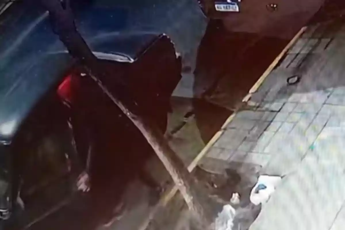 Persona junto a un auto estacionado en la calle durante la noche con un árbol y una bolsa blanca en la banqueta Persona junto a un auto estacionado en la calle durante la noche con un árbol y una bolsa blanca en la banqueta