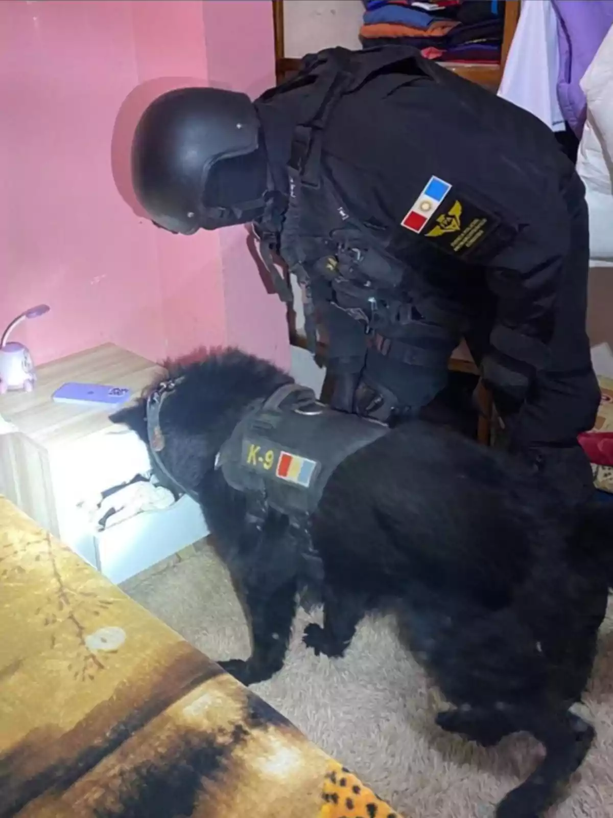 Un agente de policía con uniforme táctico y casco revisa un cajón junto a un perro K-9 negro dentro de una habitación con paredes rosadas y una lámpara sobre una mesa Un agente de policía con uniforme táctico y casco revisa un cajón junto a un perro K-9 negro dentro de una habitación con paredes rosadas y una lámpara sobre una mesa