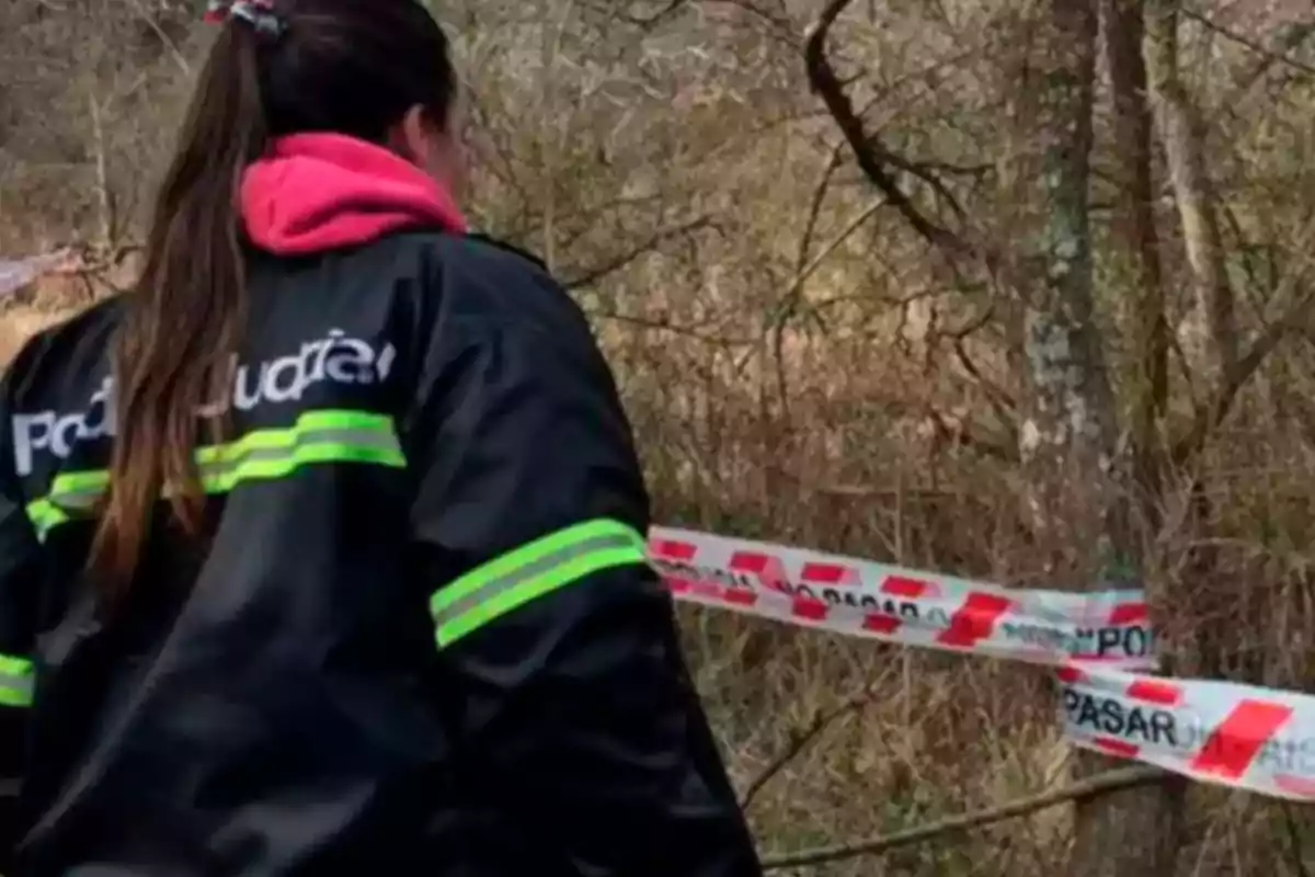 Woman wearing a judicial police jacket observes a cordoned-off area in a wooded area. Woman wearing a judicial police jacket observes a cordoned-off area in a wooded area.