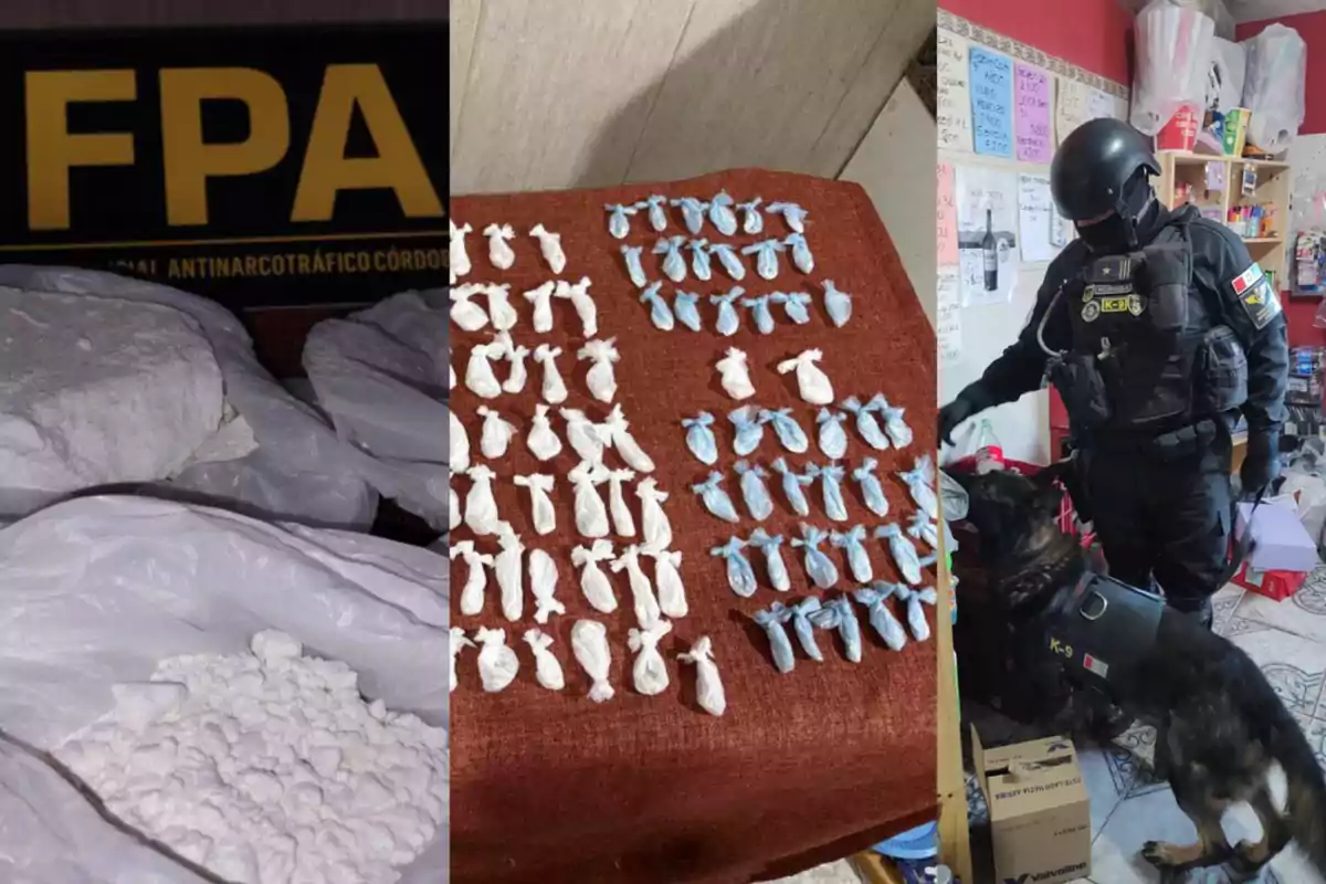 Three images show an anti-drug operation with drug packages, small wrappings, and a police officer with a K9 dog in a location.