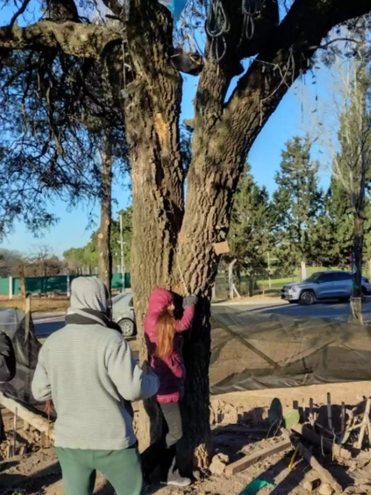 Una niña con abrigo rosa intenta trepar un árbol grande mientras una persona con sudadera gris la observa y la apoya, al fondo se ve una calle y un auto estacionado.