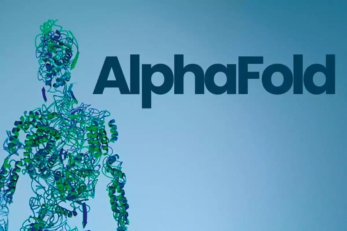 Human figure formed by protein structures next to the text AlphaFold on a blue background Human figure formed by protein structures next to the text AlphaFold on a blue background