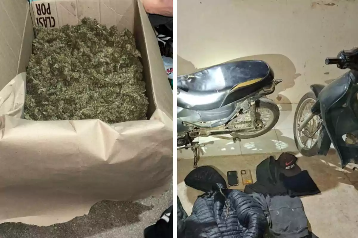 Caja de cartón llena de lo que parece ser marihuana junto a una imagen de dos motocicletas y varias prendas de ropa y objetos personales en el suelo