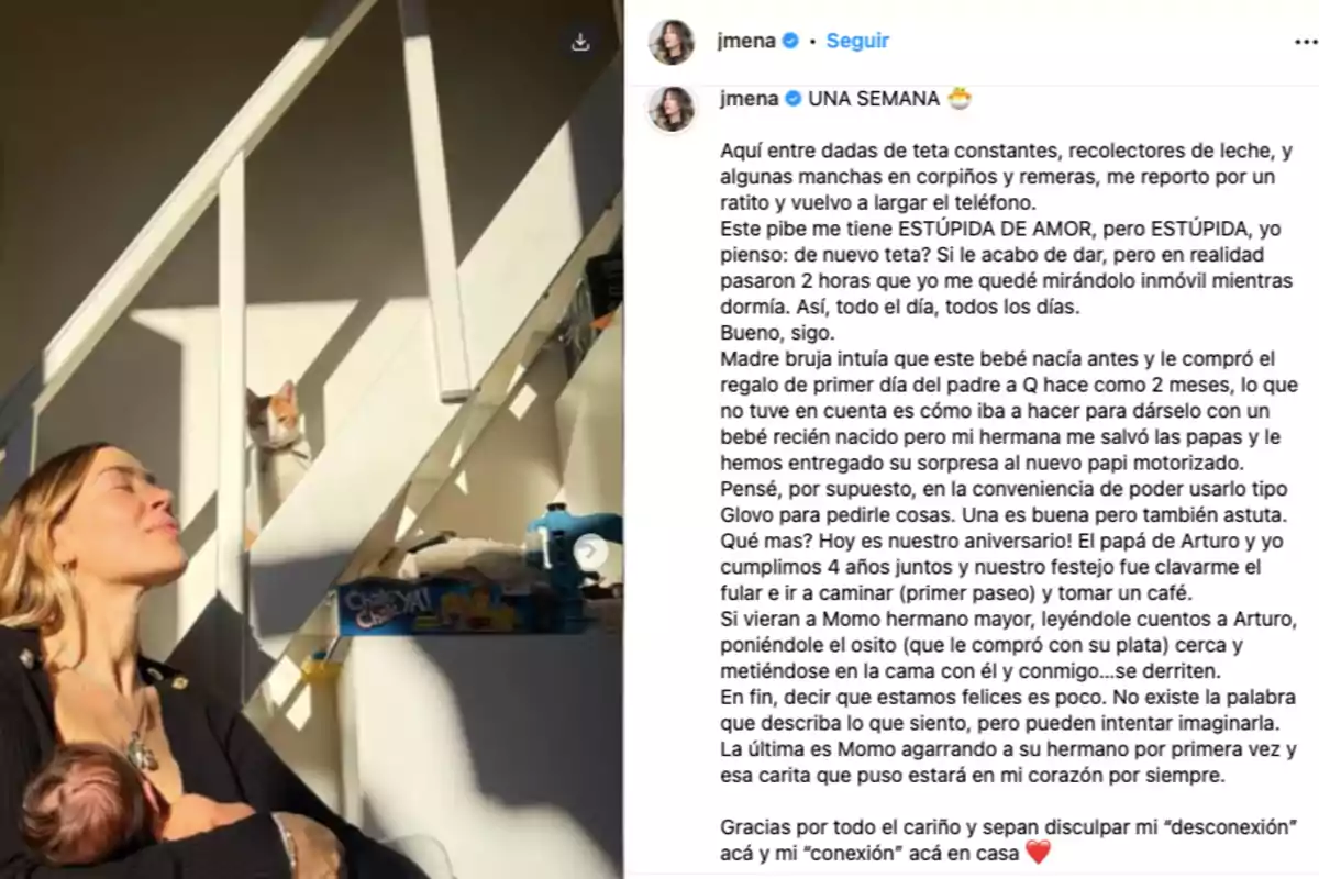 Mujer sentada amamantando a un bebé mientras disfruta de la luz del sol, con un gato observando desde las escaleras y varios objetos en el ambiente del hogar. Mujer sentada amamantando a un bebé mientras disfruta de la luz del sol, con un gato observando desde las escaleras y varios objetos en el ambiente del hogar.
