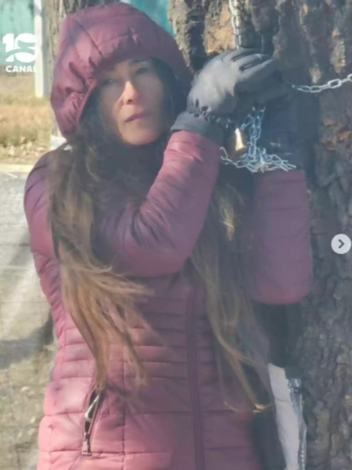 Woman in a dark coat and gloves hugging a chained tree Woman in a dark coat and gloves hugging a chained tree