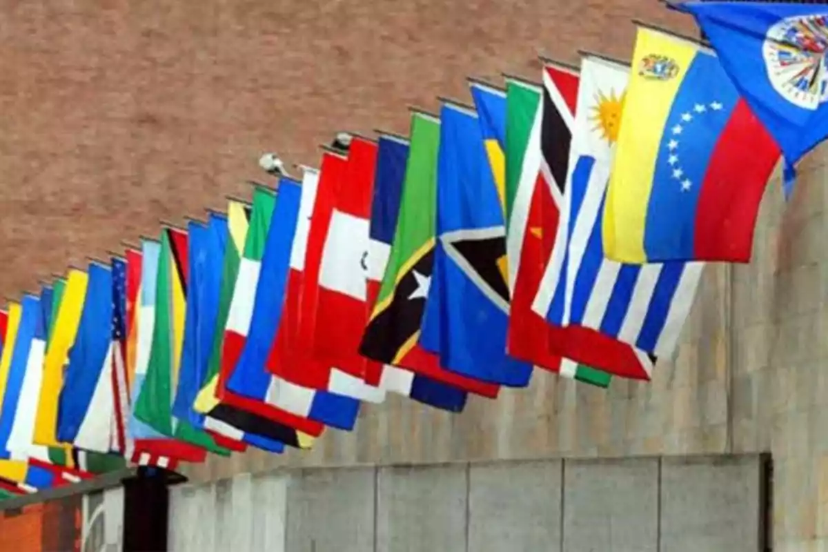 Fila de banderas de diferentes países ondeadas en el exterior de un edificio