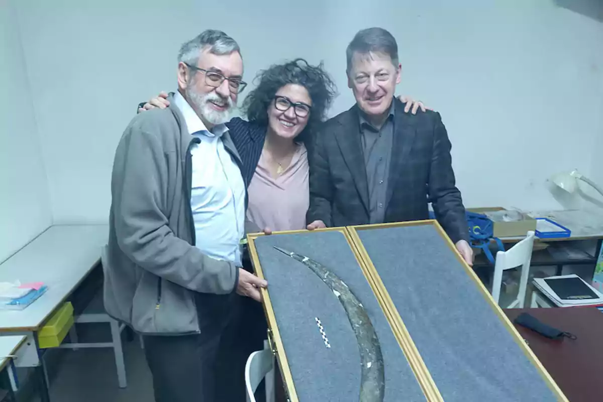 Tres personas sonríen mientras sostienen una vitrina con un colmillo fósil en una sala de trabajo Tres personas sonríen mientras sostienen una vitrina con un colmillo fósil en una sala de trabajo