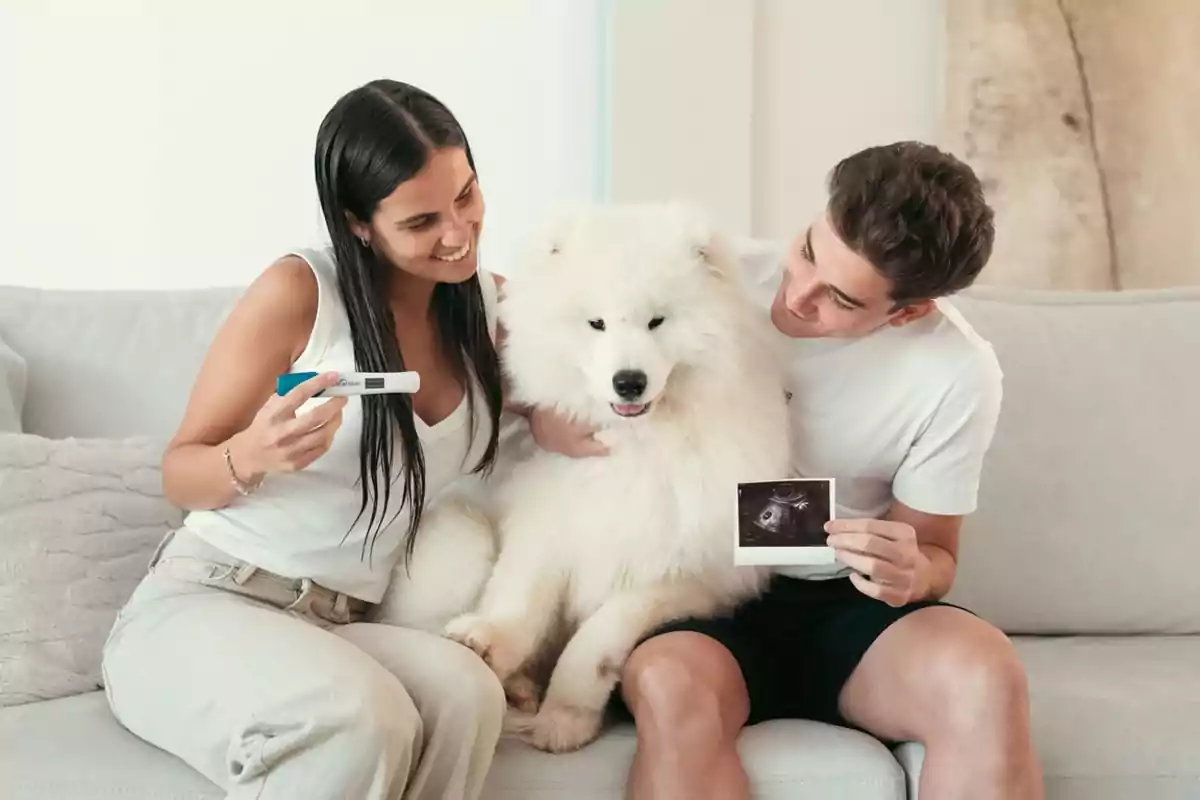 Couple sitting on a sofa with a white dog, the woman holding a pregnancy test and the man holding an ultrasound, both smiling.