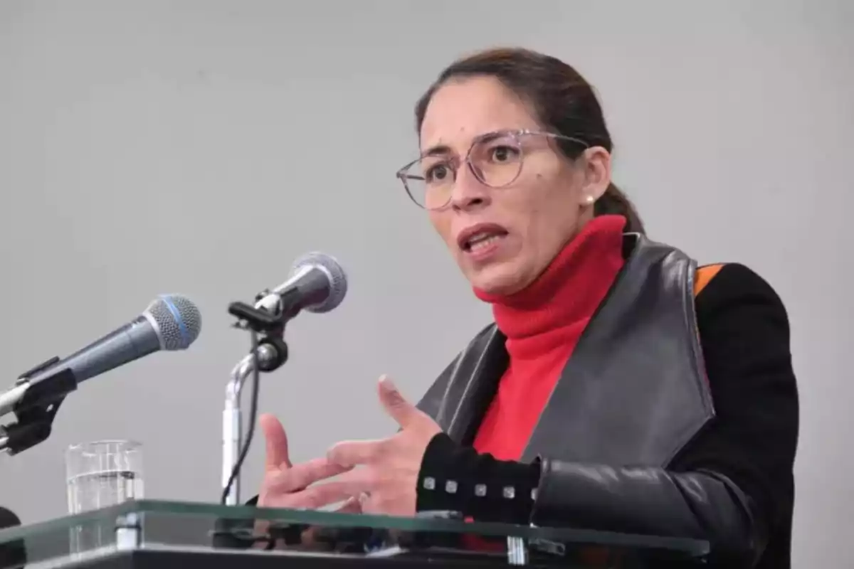 Woman with glasses and a red sweater speaking in front of two microphones at a conference Woman with glasses and a red sweater speaking in front of two microphones at a conference