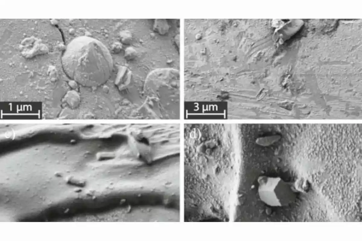 Electron micrographs of metallic surfaces showing different types of wear and particles at the micrometer scale Electron micrographs of metallic surfaces showing different types of wear and particles at the micrometer scale