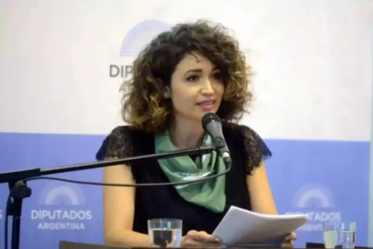 Mujer de cabello rizado hablando frente a un micrófono con un pañuelo verde en el cuello y papeles en la mano en un recinto de Diputados de Argentina Mujer de cabello rizado hablando frente a un micrófono con un pañuelo verde en el cuello y papeles en la mano en un recinto de Diputados de Argentina
