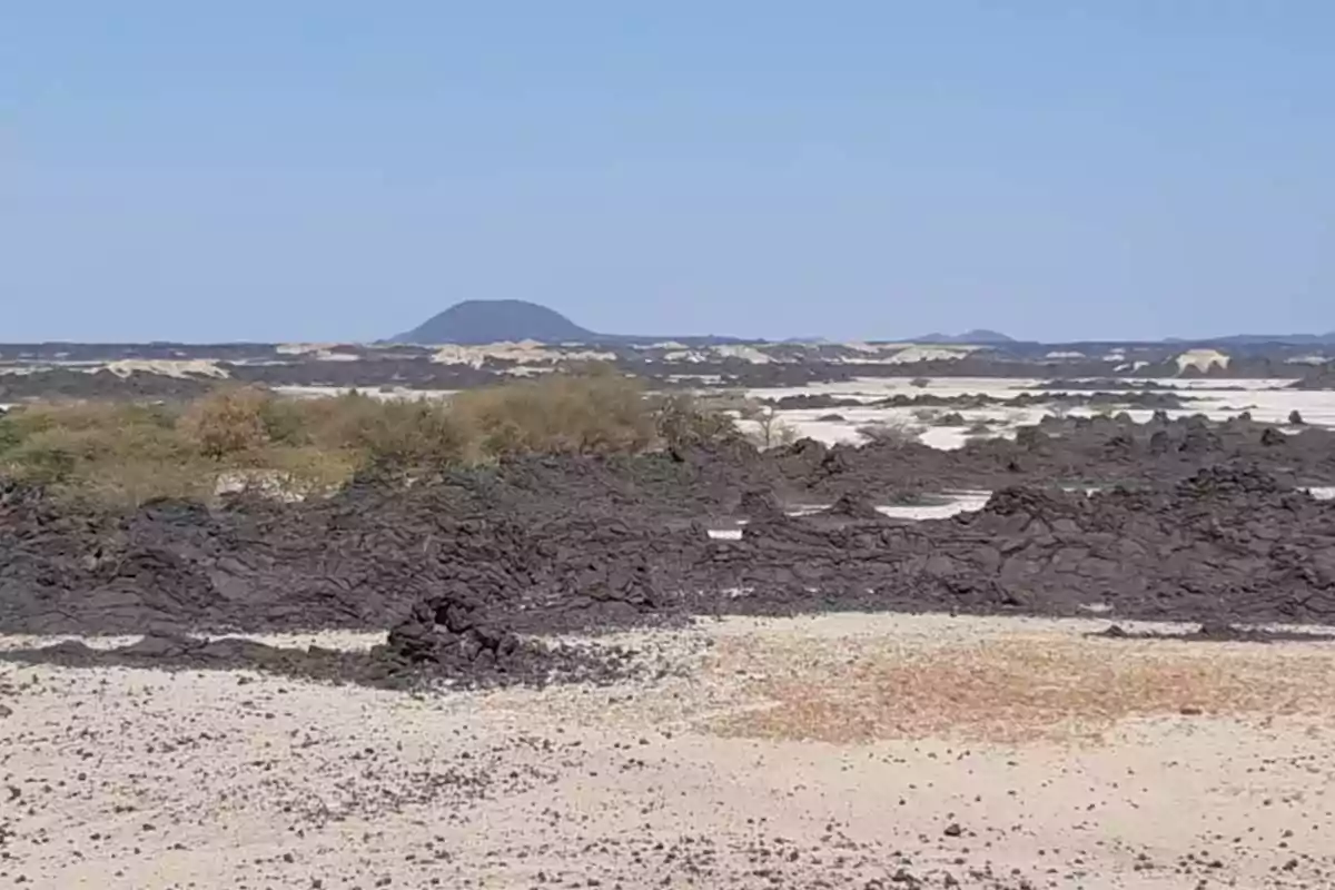 Paisaje árido con rocas volcánicas negras, vegetación dispersa y un cielo despejado