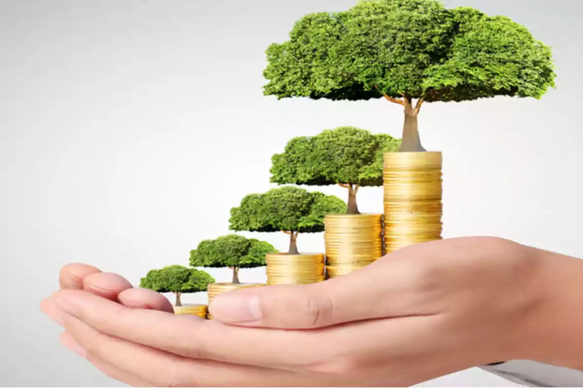 Hands holding stacks of gold coins with trees growing on top of them, representing financial growth and sustainability Hands holding stacks of gold coins with trees growing on top of them, representing financial growth and sustainability