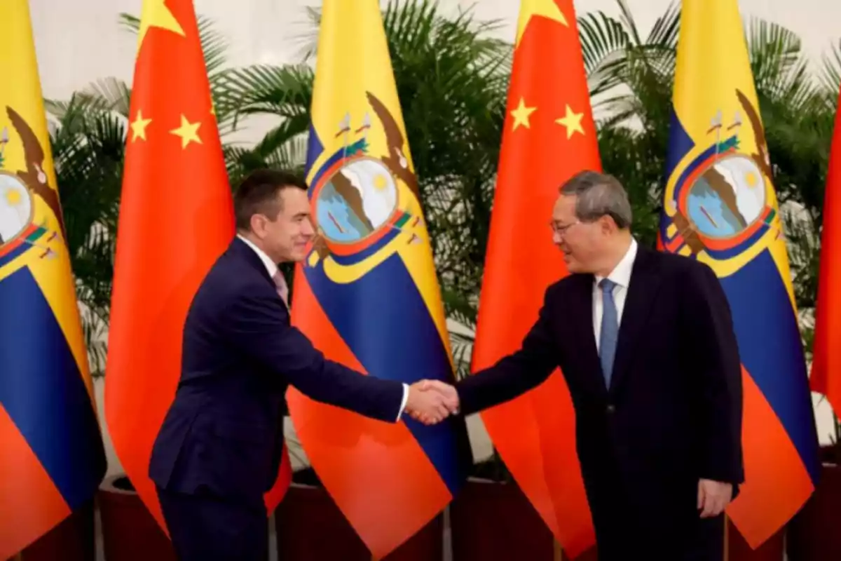Two men in suits shake hands in front of the flags of China and Ecuador.