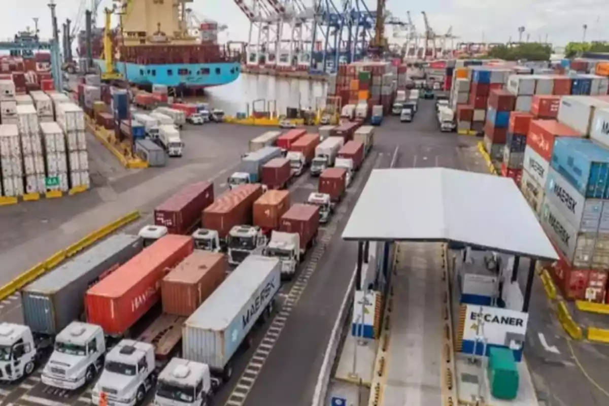 Varios camiones con contenedores hacen fila en un puerto rodeado de grúas y pilas de contenedores de carga