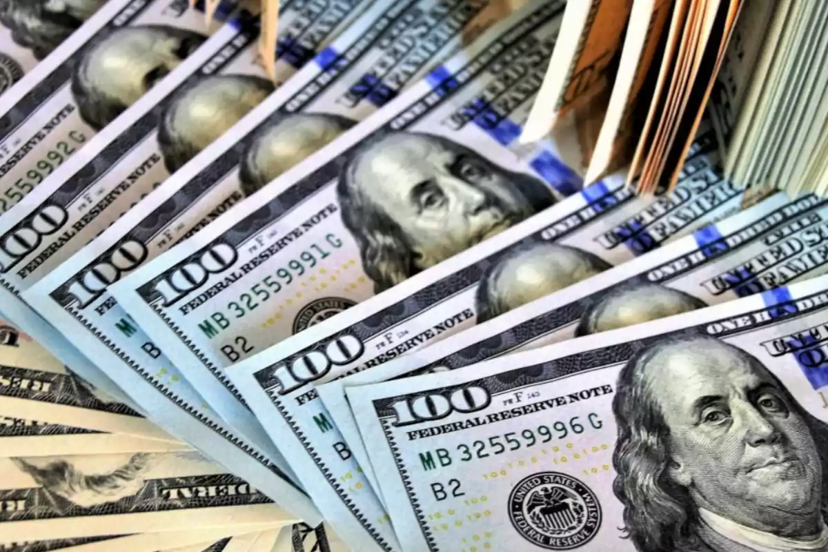 Several one-hundred-dollar bills fanned out