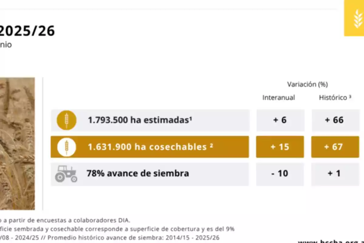 Cuadro informativo sobre estimaciones de siembra y cosecha de trigo para la campaña 2025 26 con datos de hectáreas estimadas y cosechables, porcentaje de avance de siembra y variaciones porcentuales interanuales e históricas