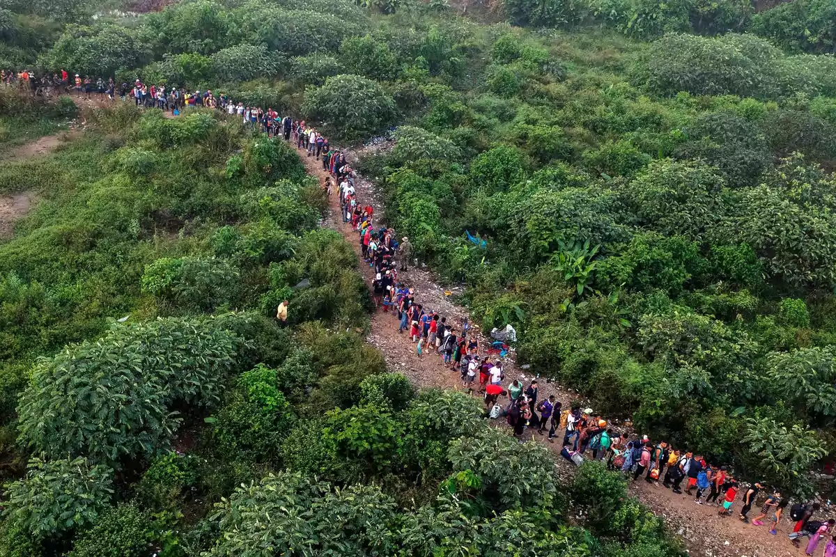 Large group of people walking along a trail surrounded by dense vegetation