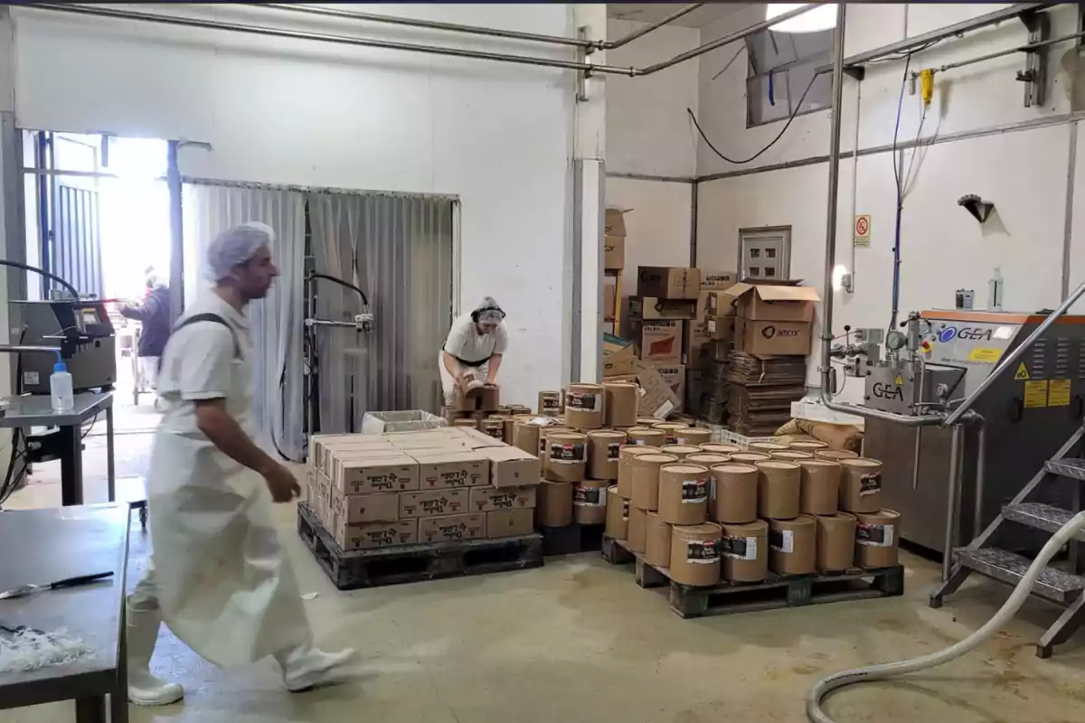 Trabajadores en una fábrica de alimentos organizan cajas y botes de cartón en un área de almacenamiento junto a maquinaria industrial Trabajadores en una fábrica de alimentos organizan cajas y botes de cartón en un área de almacenamiento junto a maquinaria industrial