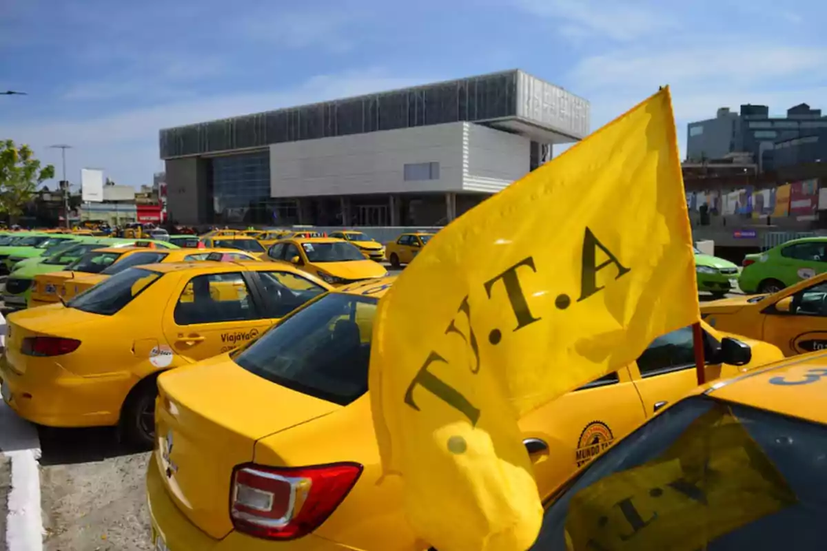 Varios taxis amarillos estacionados junto a un edificio moderno con una bandera amarilla en primer plano que tiene las letras TUTA Varios taxis amarillos estacionados junto a un edificio moderno con una bandera amarilla en primer plano que tiene las letras TUTA