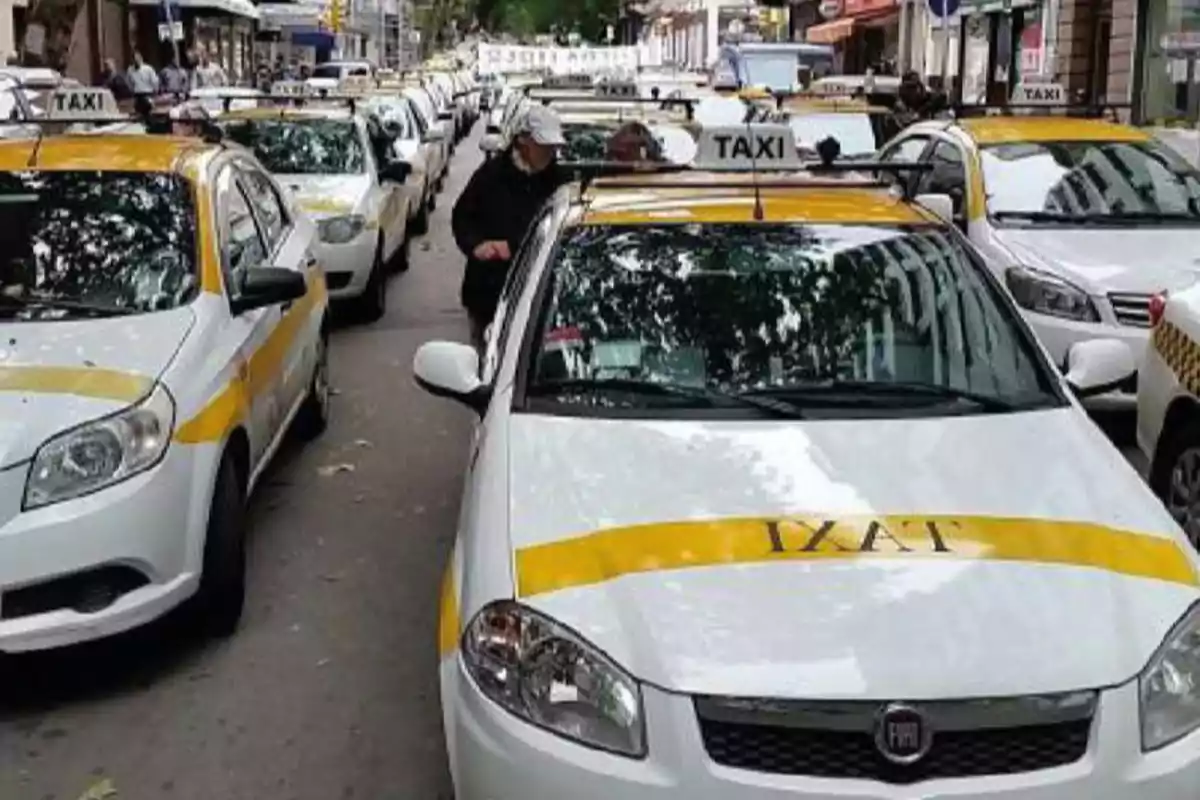 Varios taxis blancos con franja amarilla están estacionados en fila sobre una calle urbana Varios taxis blancos con franja amarilla están estacionados en fila sobre una calle urbana