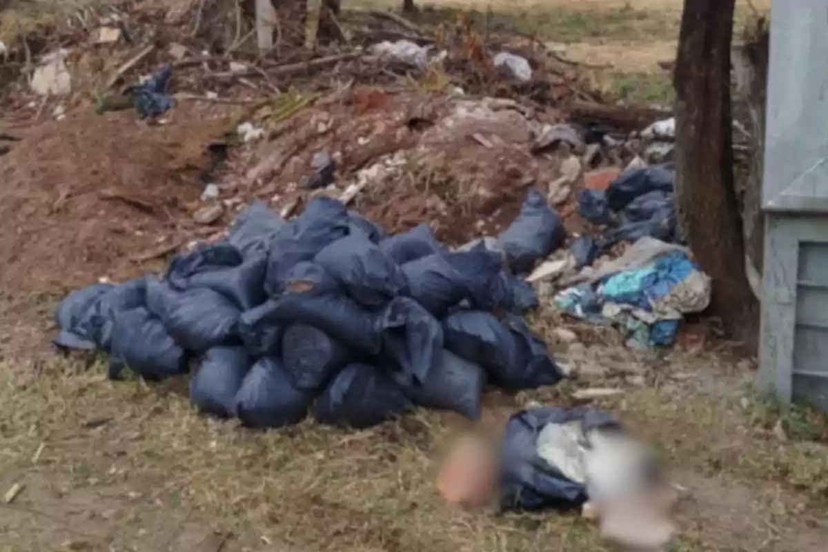 Bolsas negras apiladas junto a un montón de basura y escombros en un terreno descuidado Bolsas negras apiladas junto a un montón de basura y escombros en un terreno descuidado