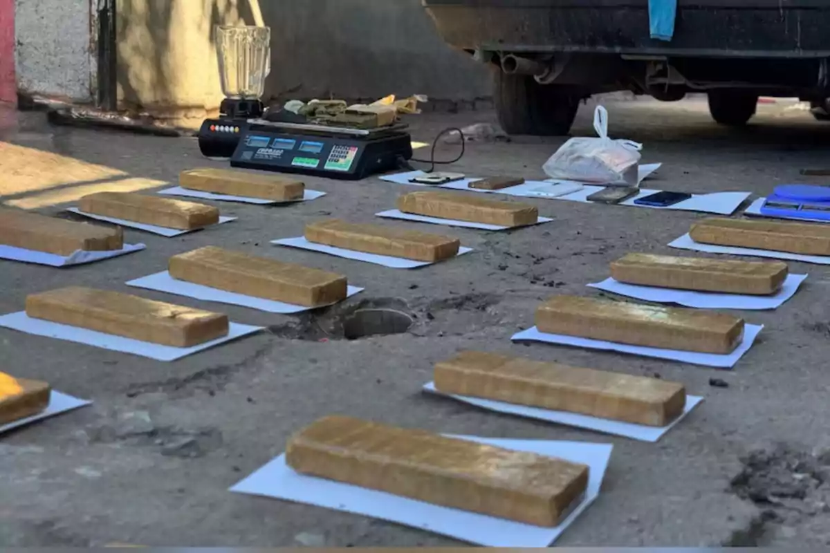 Varios paquetes rectangulares envueltos en plástico están alineados sobre hojas blancas en el suelo junto a una báscula, una licuadora y otros objetos cerca de un automóvil.
