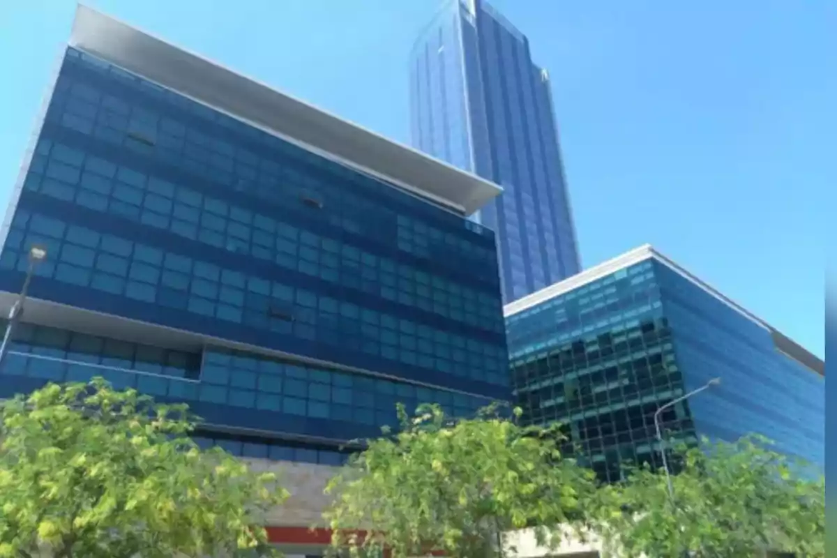 Modern blue glass buildings with trees in the foreground and a clear sky Modern blue glass buildings with trees in the foreground and a clear sky