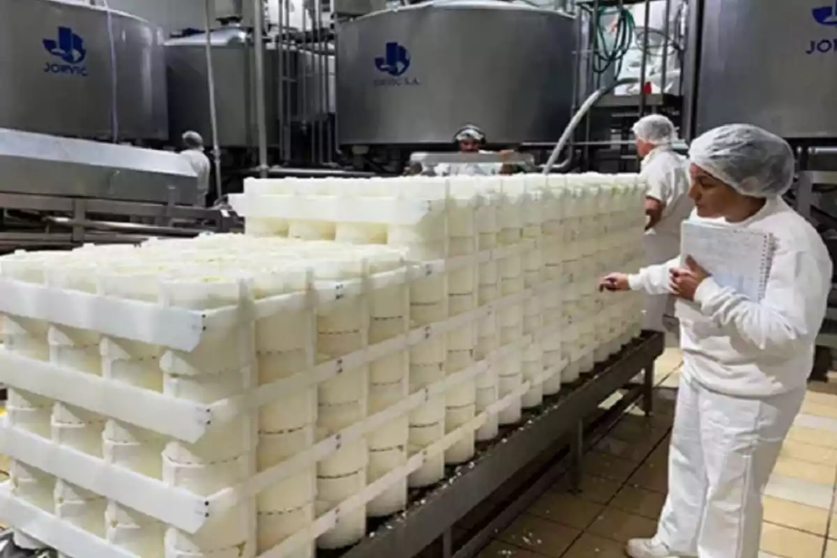 Trabajadores en una fábrica de quesos observan y revisan moldes apilados de queso fresco en una línea de producción industrial Trabajadores en una fábrica de quesos observan y revisan moldes apilados de queso fresco en una línea de producción industrial