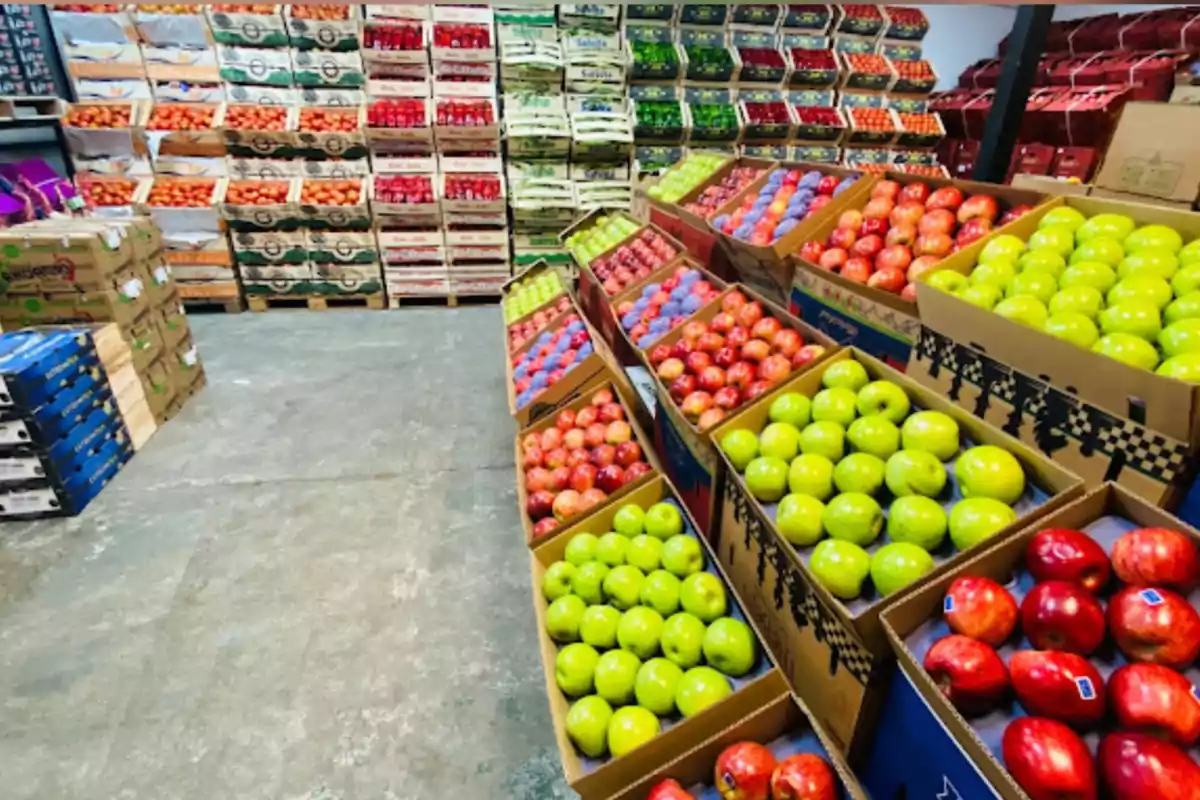 Boxes of green and red apples stacked in a fruit warehouse with more boxes of produce in the background Boxes of green and red apples stacked in a fruit warehouse with more boxes of produce in the background