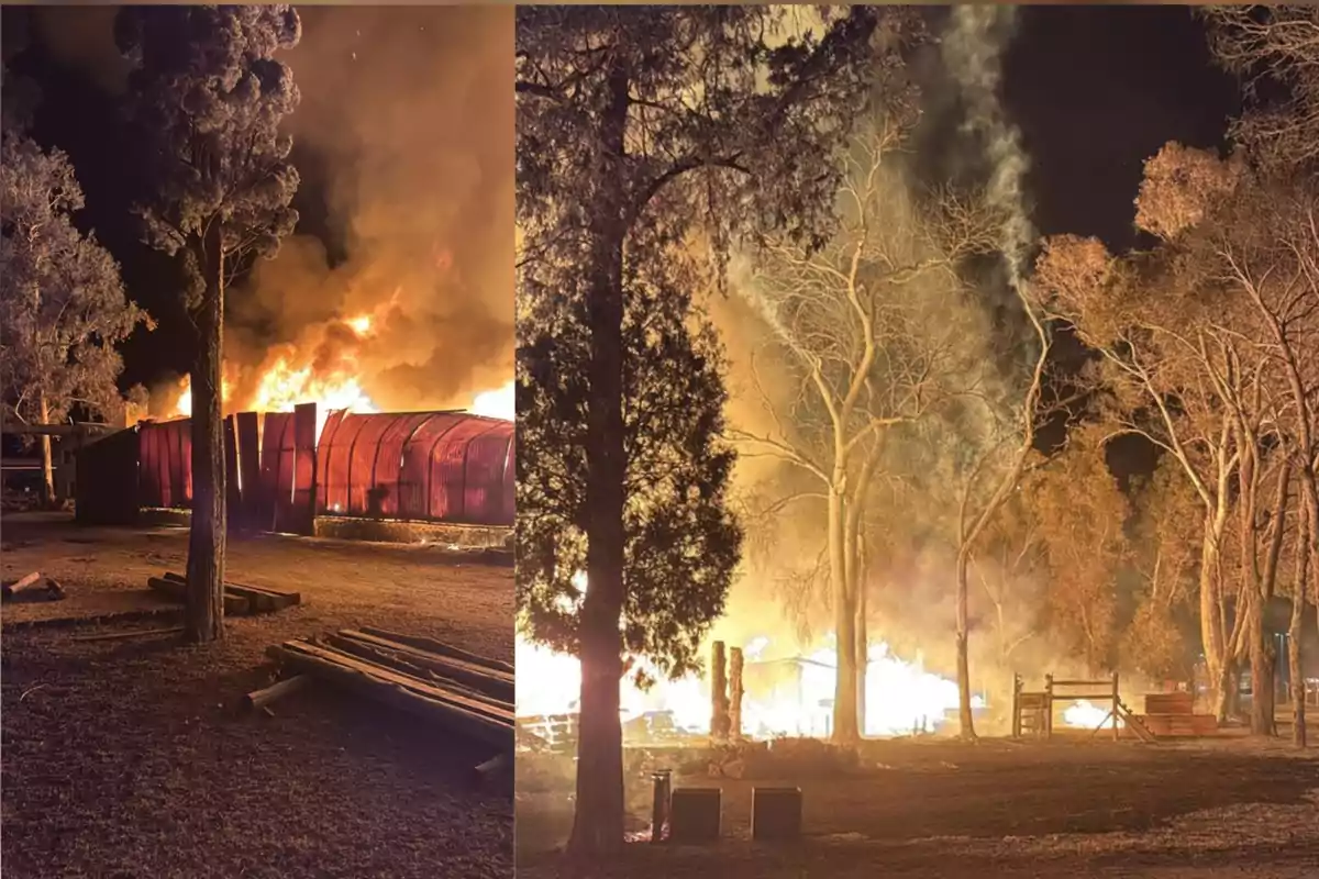 Incendio nocturno en una zona rural con árboles y una estructura en llamas, el fuego ilumina intensamente el entorno Incendio nocturno en una zona rural con árboles y una estructura en llamas, el fuego ilumina intensamente el entorno