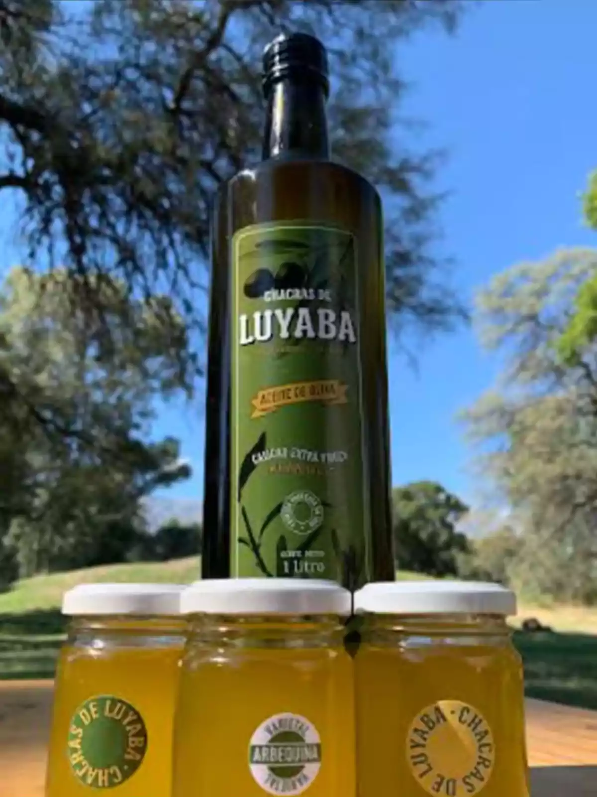 Chacras de Luyaba olive oil bottle next to three small jars of the same product on an outdoor table with trees and blue sky in the background Chacras de Luyaba olive oil bottle next to three small jars of the same product on an outdoor table with trees and blue sky in the background