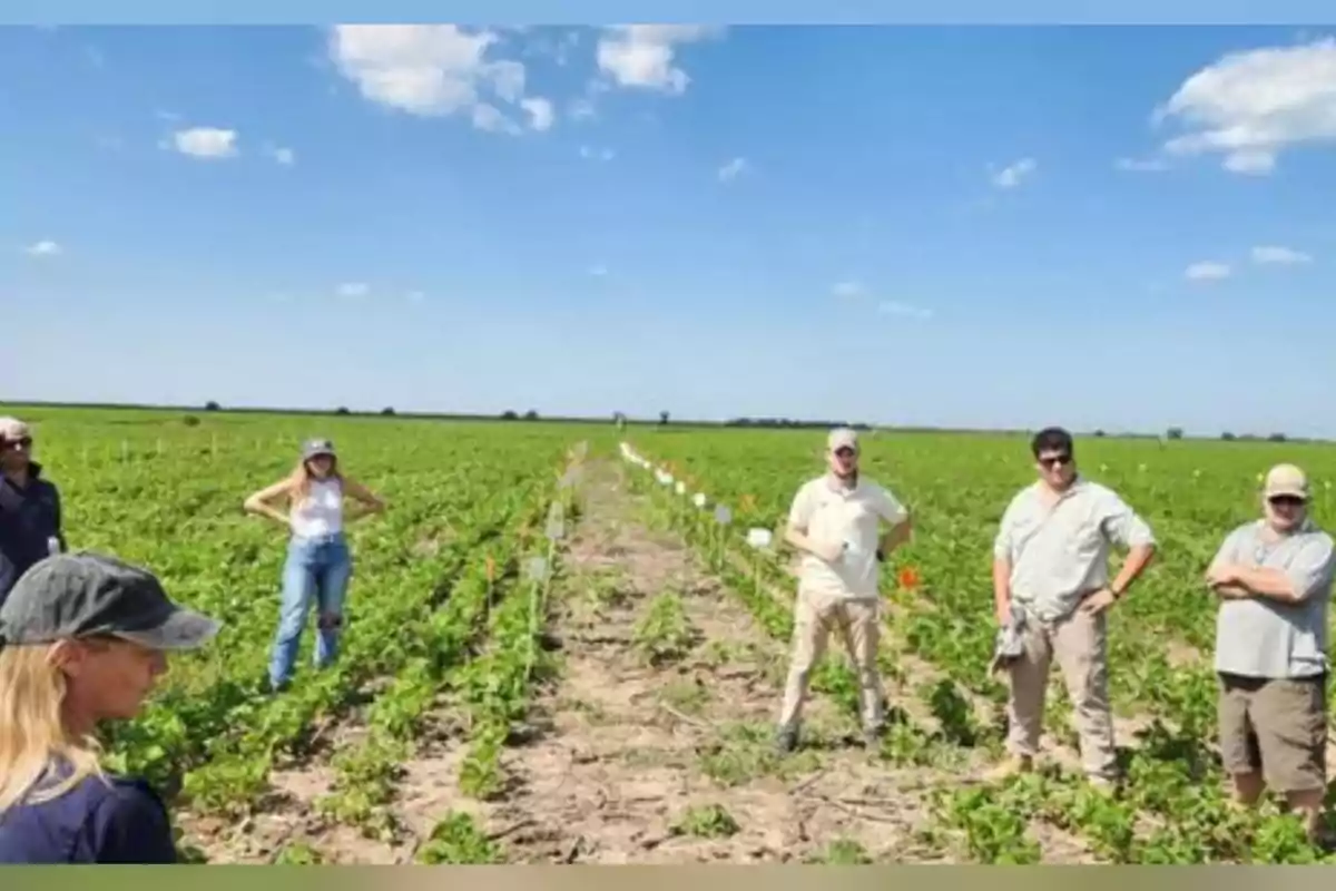 Grupo de personas de pie en un campo agrícola bajo un cielo azul con algunas nubes
