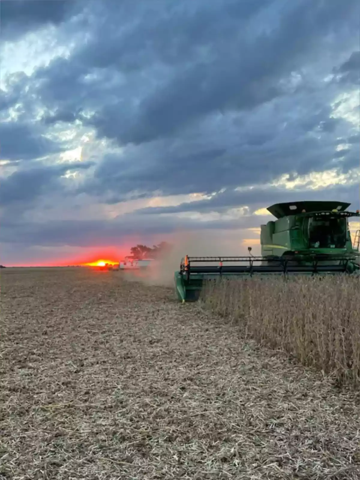 Cosechadora trabajando en un campo al atardecer con el sol poniéndose en el horizonte y cielo nublado Cosechadora trabajando en un campo al atardecer con el sol poniéndose en el horizonte y cielo nublado