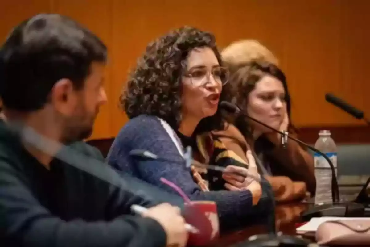 Curly-haired woman with glasses speaking into a microphone during a meeting with other people seated beside her Curly-haired woman with glasses speaking into a microphone during a meeting with other people seated beside her