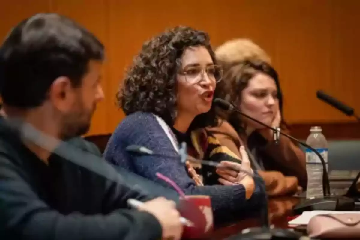Tres personas sentadas en una mesa participando en una conferencia o reunión, una mujer de cabello rizado habla frente a un micrófono mientras las otras dos personas la escuchan Tres personas sentadas en una mesa participando en una conferencia o reunión, una mujer de cabello rizado habla frente a un micrófono mientras las otras dos personas la escuchan