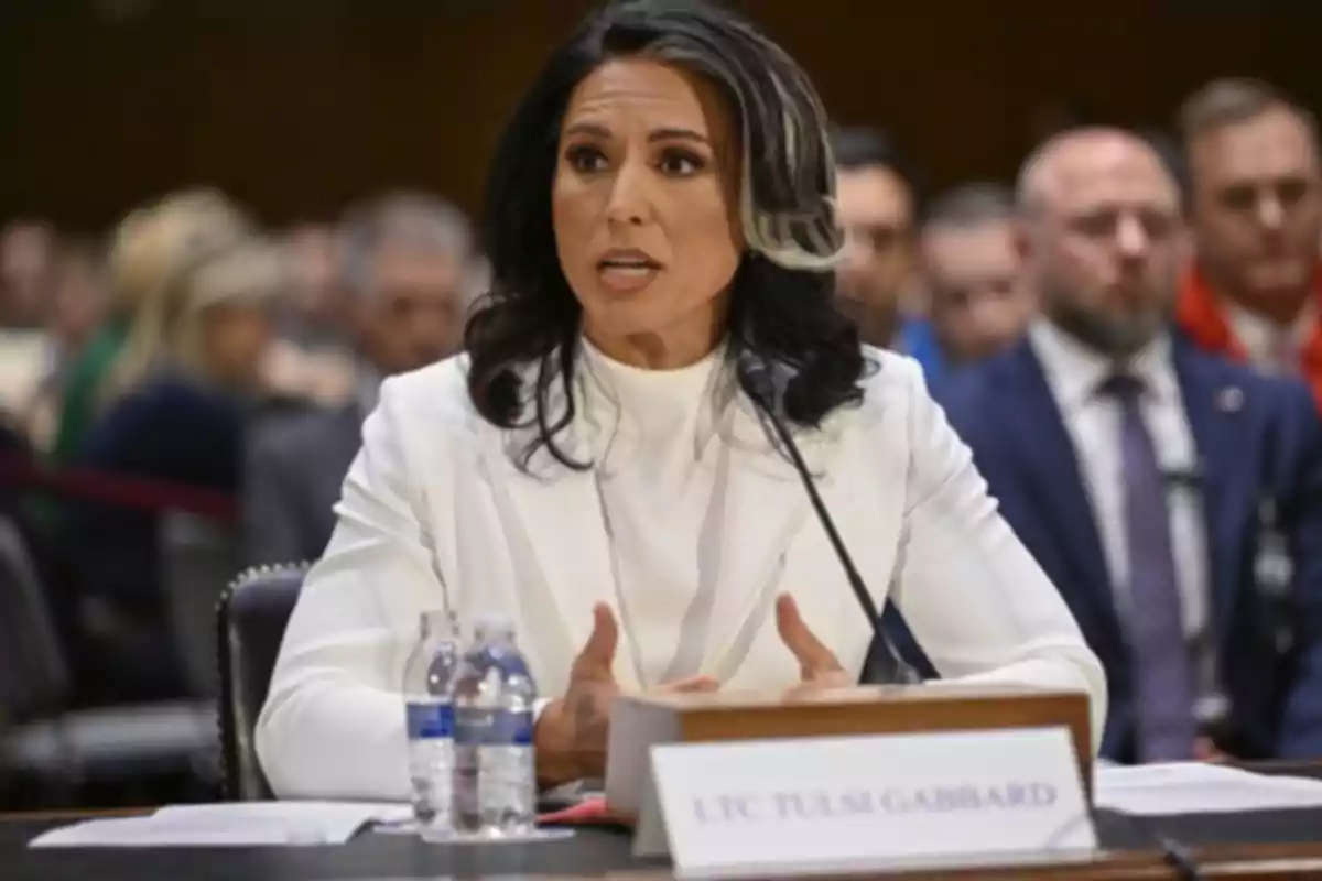Dark-haired woman with a white streak speaking into a microphone during a formal hearing with people seated in the background