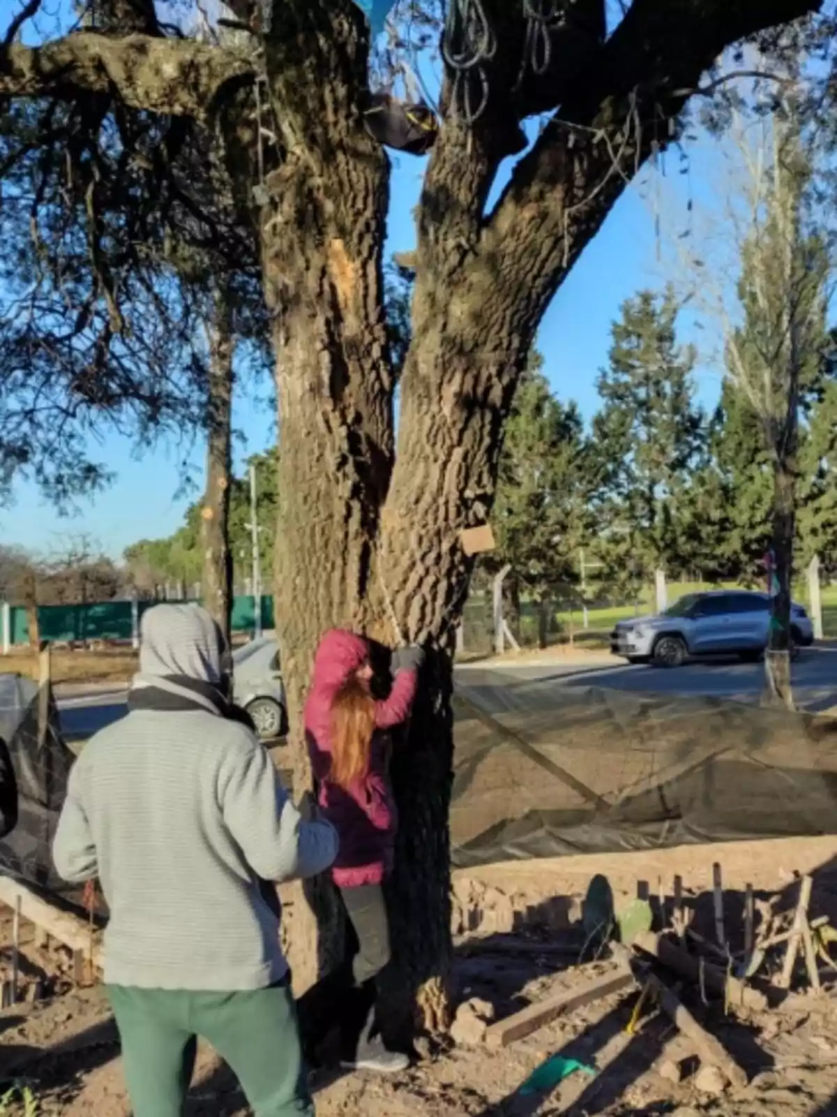 Dos personas junto a un árbol grande, una de ellas intenta trepar mientras la otra observa, en un entorno al aire libre con autos y vegetación al fondo