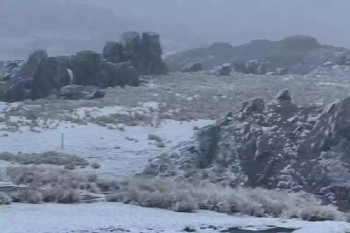 Paisaje de montaña con rocas y vegetación cubiertas de nieve bajo un cielo nublado Paisaje de montaña con rocas y vegetación cubiertas de nieve bajo un cielo nublado