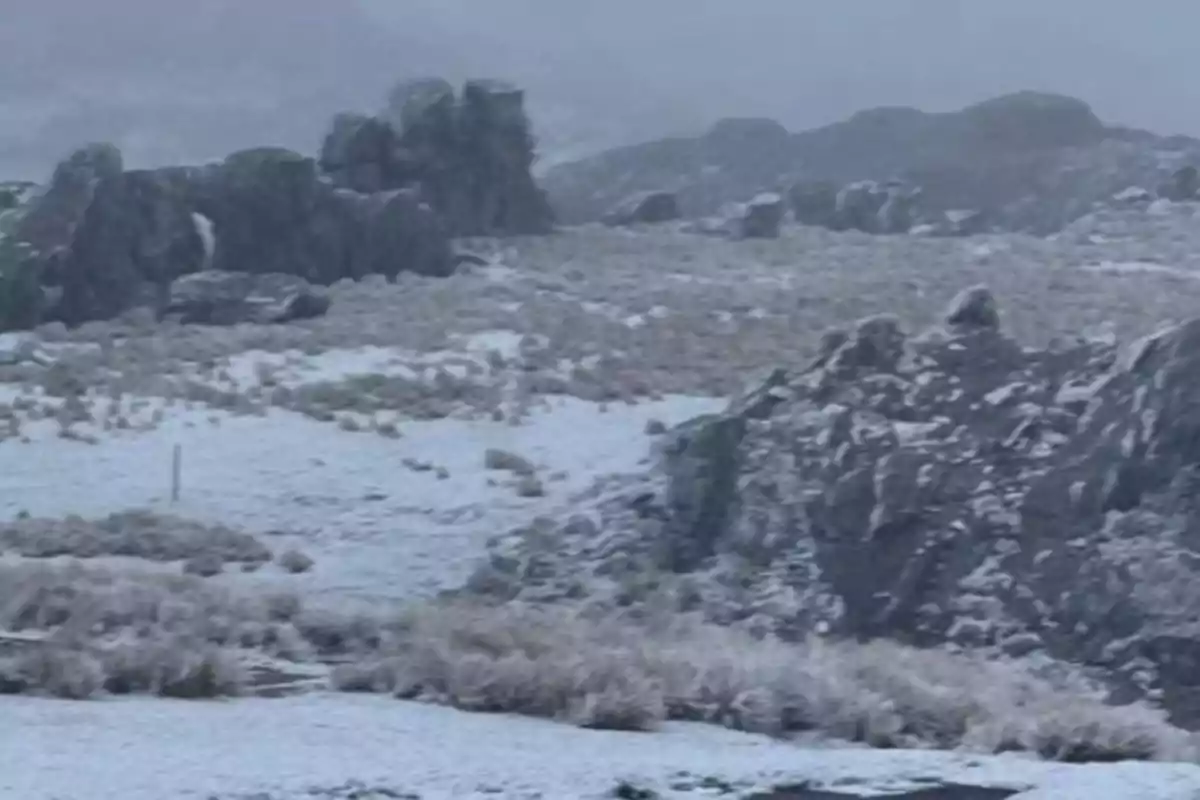 Paisaje de montaña con rocas y vegetación cubiertas por una capa de nieve