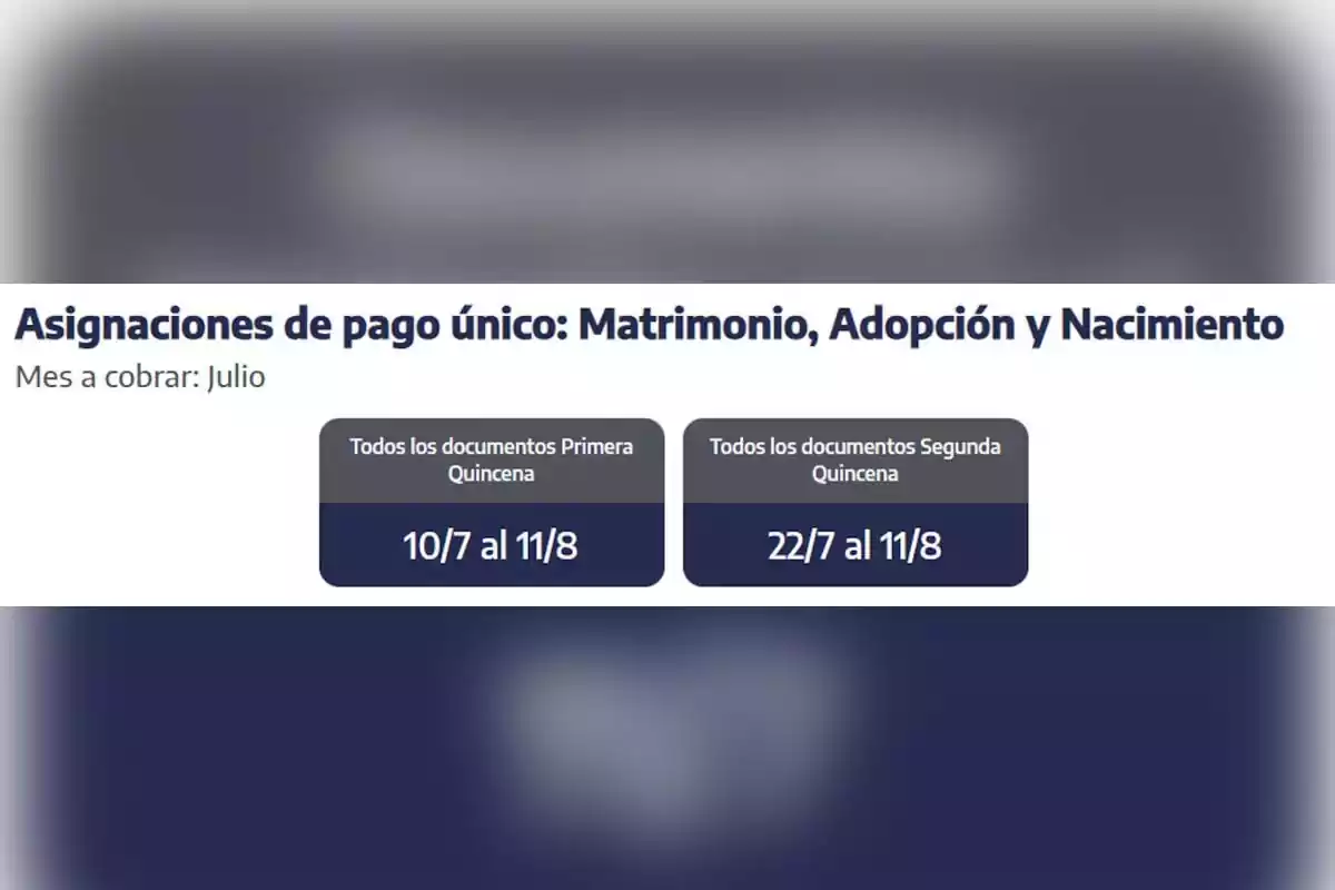 asignaciones de pago unico anses julio 2025 asignaciones de pago unico anses julio 2025