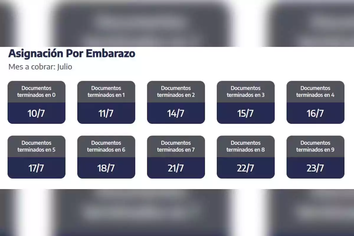 Calendario de pago de Asignación por Embarazo para el mes de julio según la terminación del documento, con fechas del 10 al 23 de julio. Calendario de pago de Asignación por Embarazo para el mes de julio según la terminación del documento, con fechas del 10 al 23 de julio.