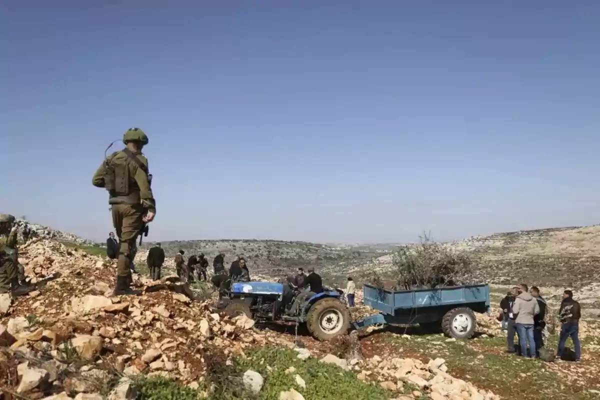 Un grupo de personas y un soldado se encuentran en un terreno rocoso y árido junto a un tractor azul con un remolque que transporta un árbol, bajo un cielo despejado Un grupo de personas y un soldado se encuentran en un terreno rocoso y árido junto a un tractor azul con un remolque que transporta un árbol, bajo un cielo despejado